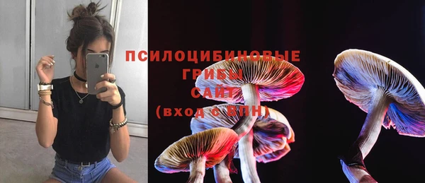 винт Армянск