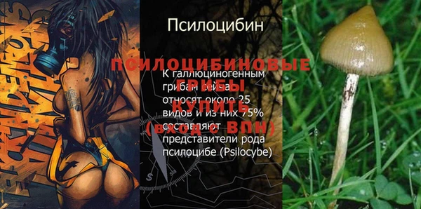 твердый Арсеньев