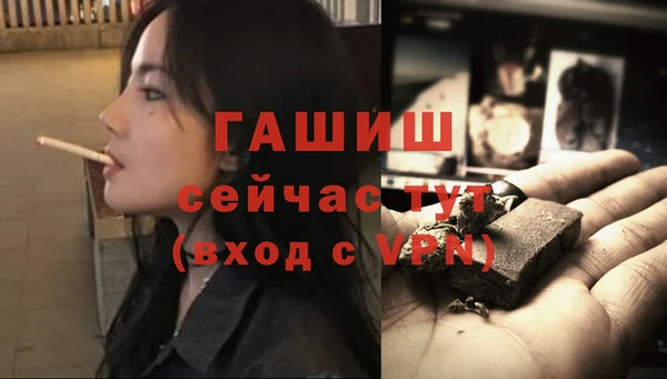 индика Аркадак