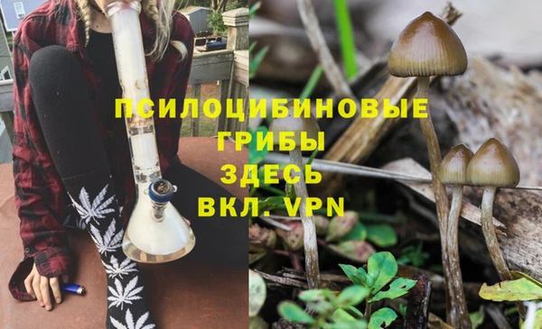 винт Армянск