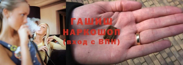 индика Аркадак