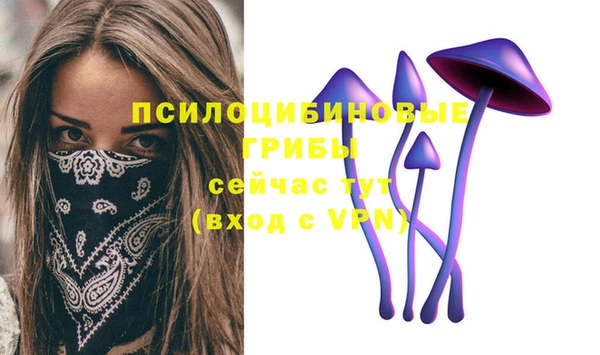 твердый Арсеньев