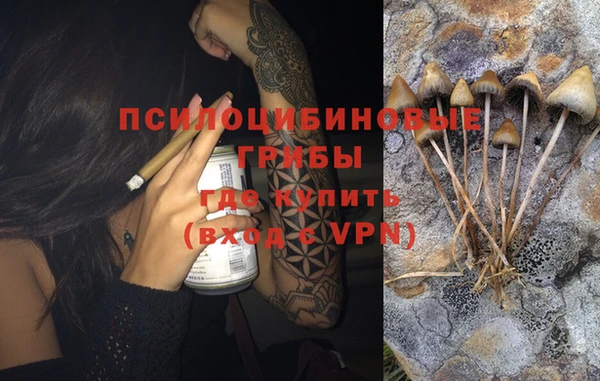 винт Армянск