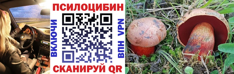 купить наркотики сайты  Тамбов  Галлюциногенные грибы мухоморы 