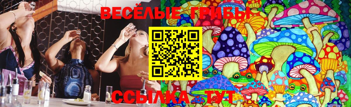 Псилоцибиновые грибы GOLDEN TEACHER  Псилоцибиновые грибы GOLDEN TEACHER  Тамбов  Вход с VPN 