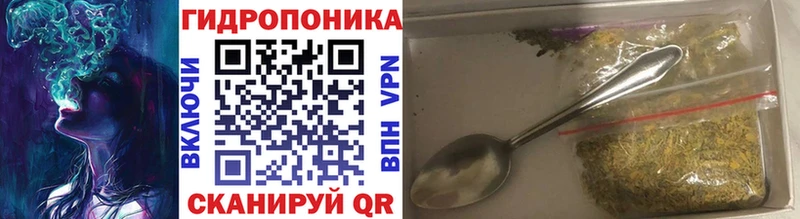 Шишки марихуана сатива  где найти   Тамбов 